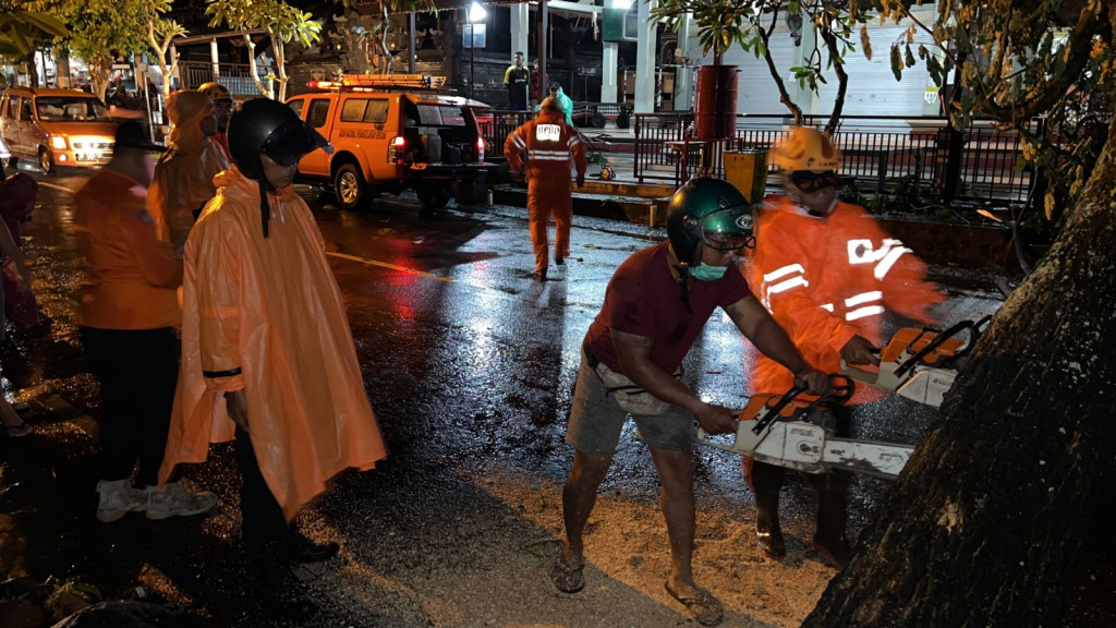Pohon Tumbang di Depan Balai Banjar Sayan Delodan, Desa Werdhi Bhuwana, Kecamatan Mengwi Tanggal 28 Januari 2022